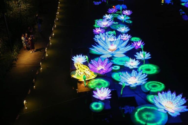 Фестиваль Середины Осени 2019 в Сингапуре