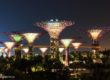 Сады Gardens by the Bay